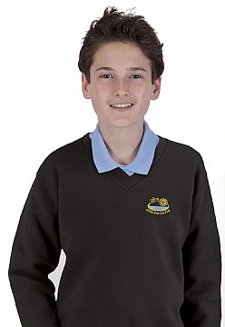 Ysgol Gyfun Gwyr School V-Neck Sweatshirt