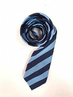 Dylan Thomas School Tie