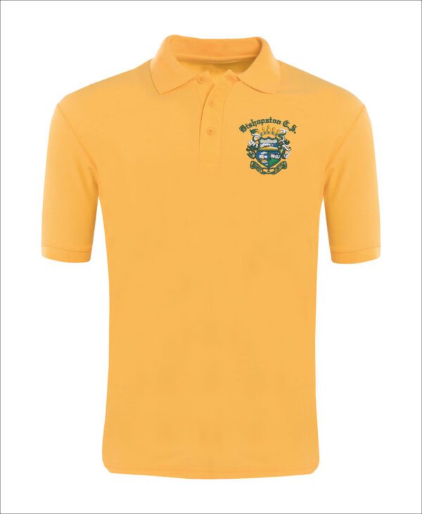 Bishopston-Polo