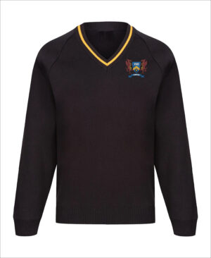 Ffynone House School Vneck Knitted Sweater