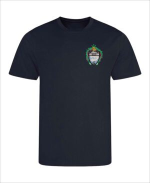 Gowerton Comprehensive Games T-Shirt New Style