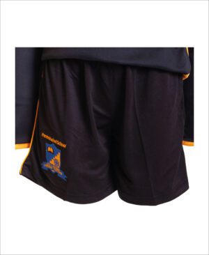 Pentrehafod Games Shorts