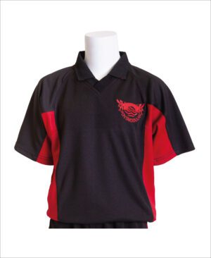 Pontarddulais Comprehensive Unisex PE games Polo Shirt