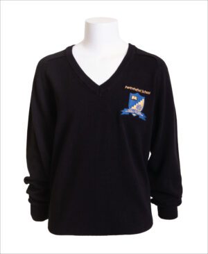 Pentrehafod School Boys & Girls V-Neck Jumper
