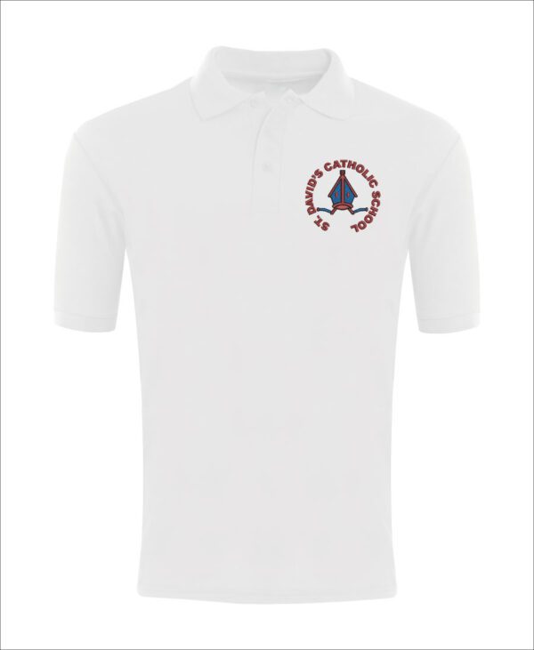 St-Davids-Polo
