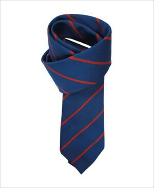 St Davids Catholic School Tie